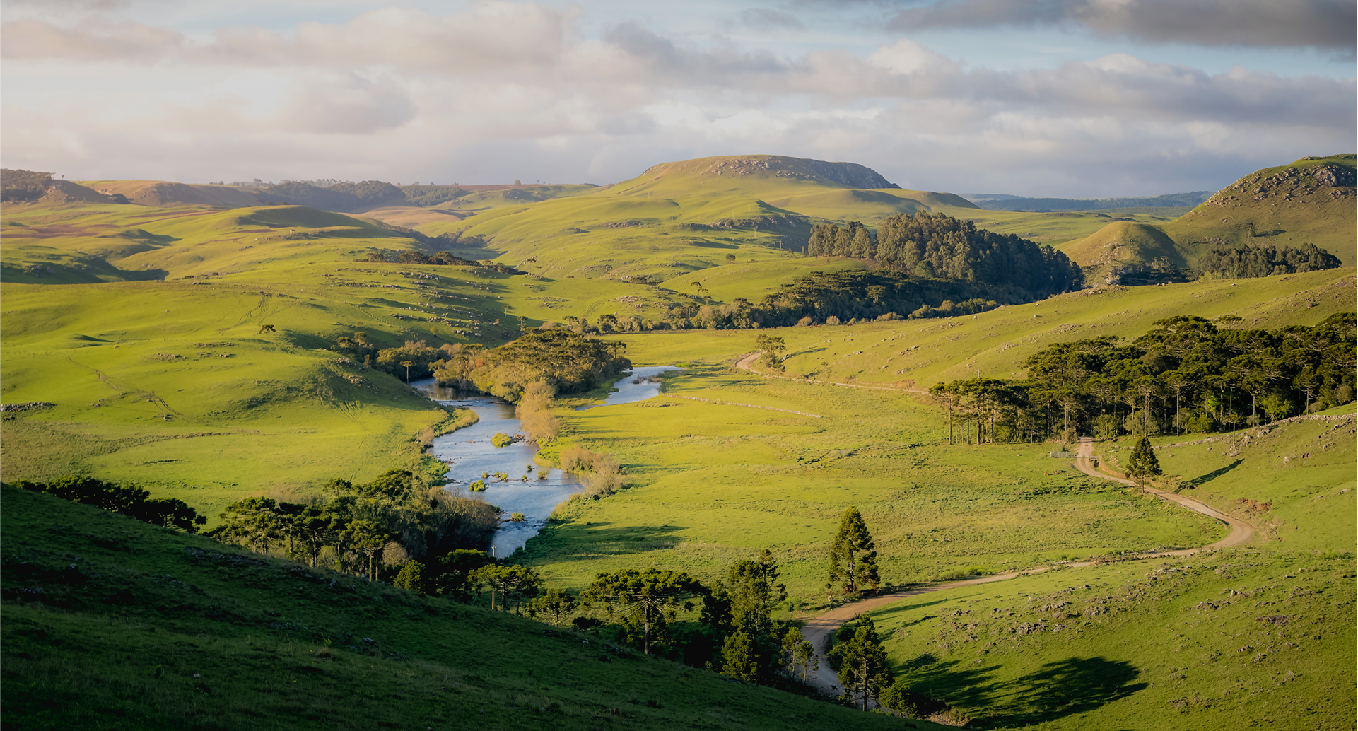 Cachaça Biotta - Our Roots